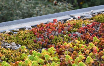 the cost of Easter Ardross green roof installation