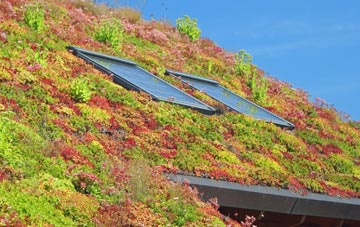 Easter Ardross living roof systems