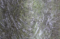 Easter Ardross fibreglass roof work